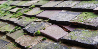 Neuadd roof repair costs